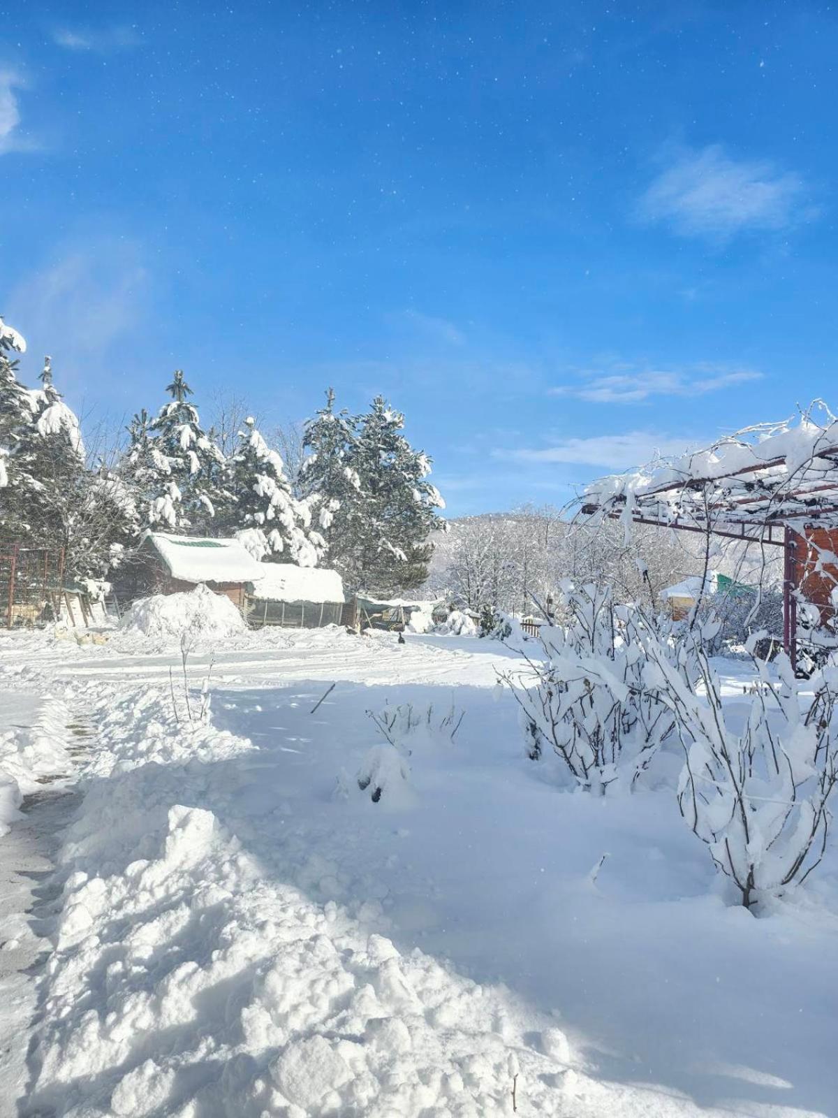 Konaci Oceva Zemlja Bungalovi Konaci Oceva Zemlja Vikendica Mojkovac Exterior foto